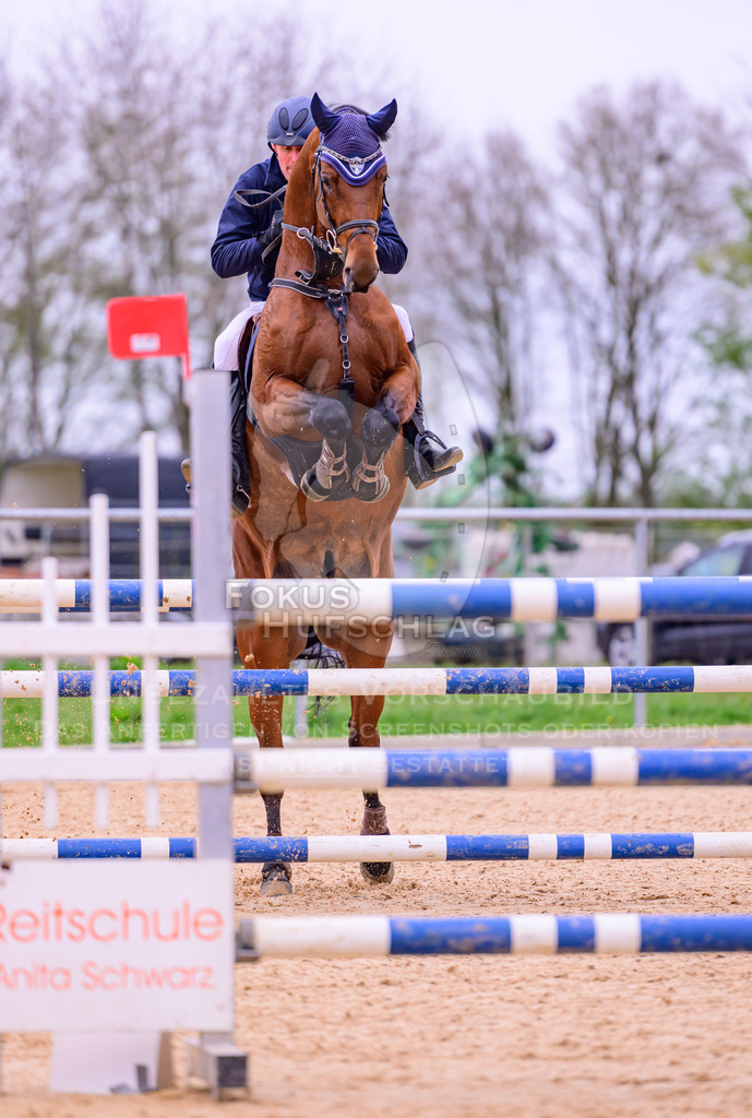 12042026-Mammendorf-Prfg44-0020 | Fokus Hufschlag Fotografie - Realisiert mit Pictrs.com