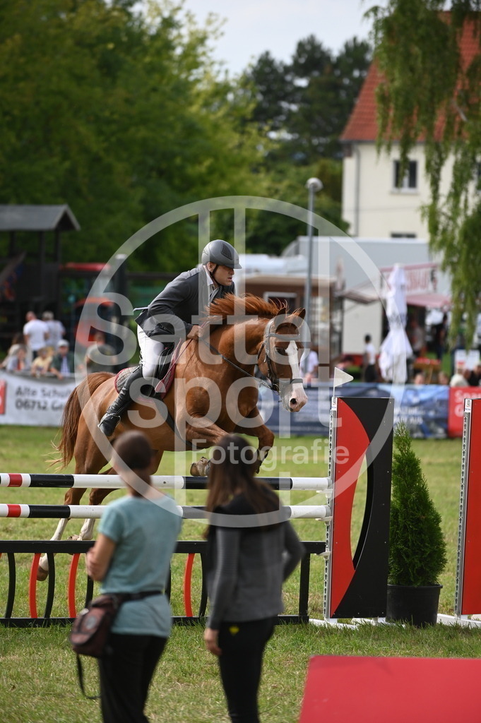 DSC_3028 | sattelsport - Realisiert mit Pictrs.com