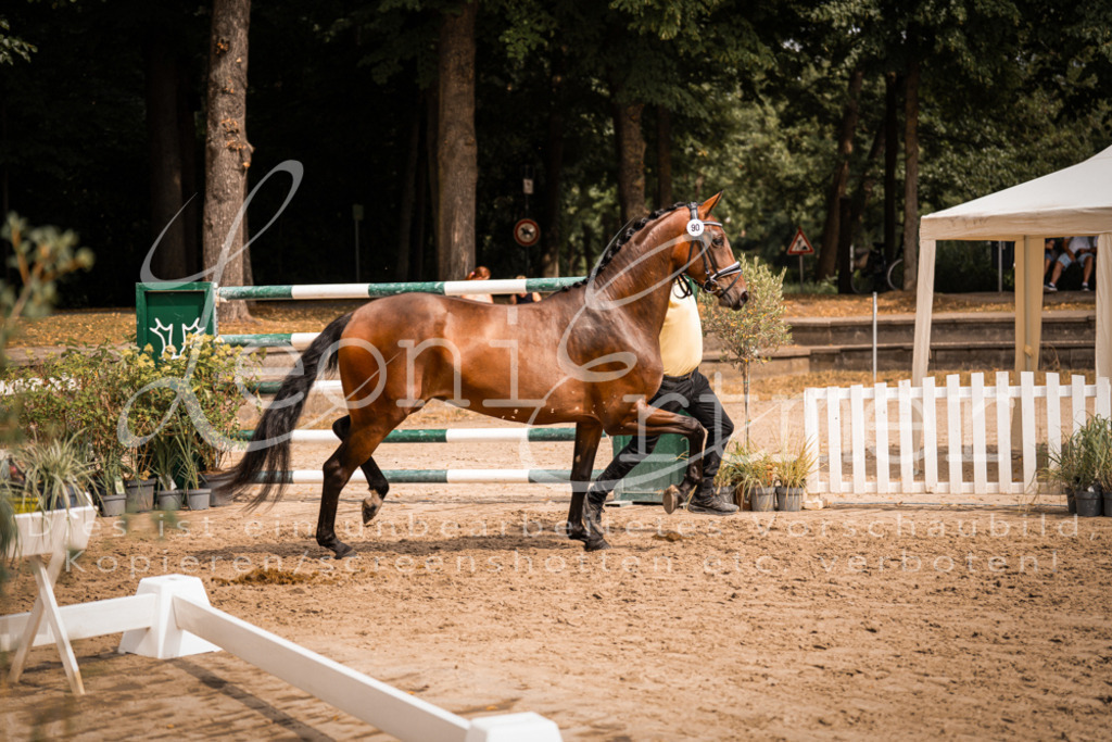 6.Fr00067 | Leoni Ertmer Photography - Realisiert mit Pictrs.com