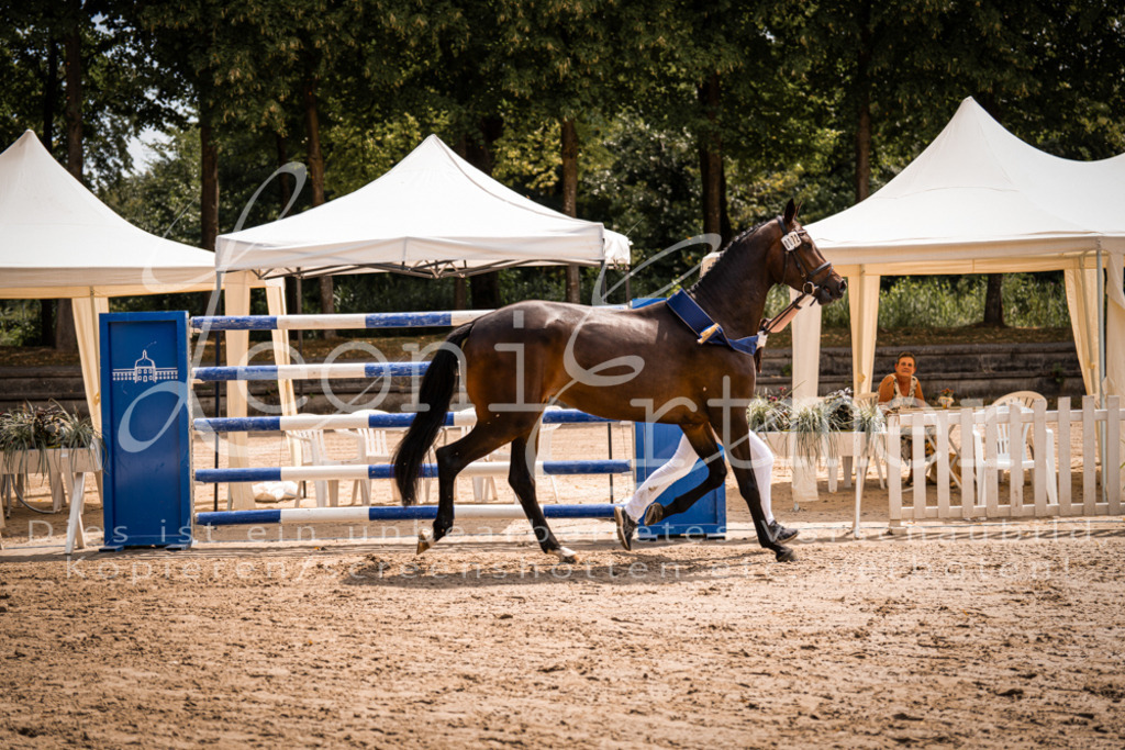 1.Fr00202 | Leoni Ertmer Photography - Realisiert mit Pictrs.com