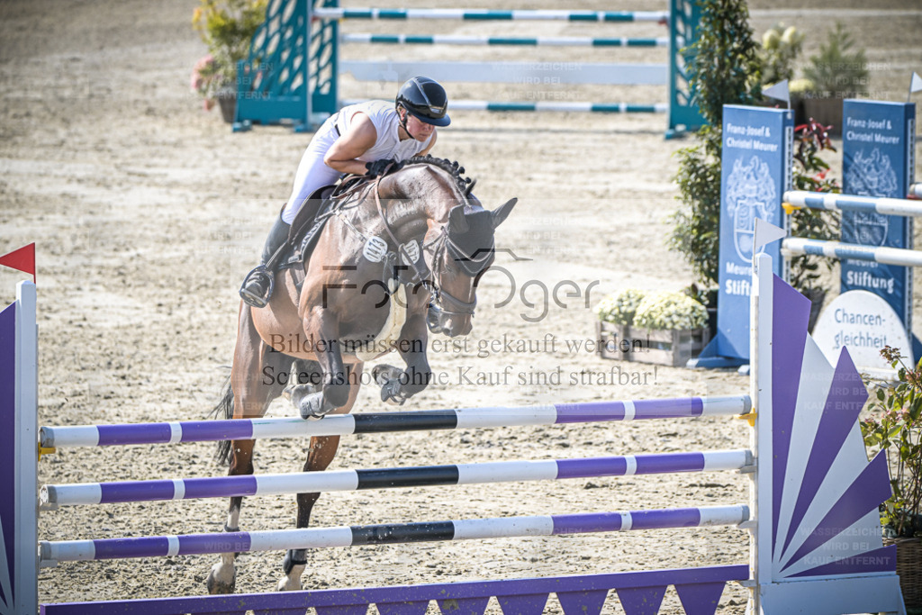 DOS_1184 | Entdecke hochwertige Reitturnierfotos von Foto Oger. Professionell, emotional und authentisch – jetzt Lieblingsmomente im Shop bestellen. - Realisiert mit Pictrs.com