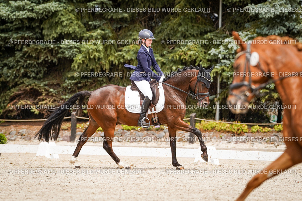 DSC04246 | Pferdegrafie