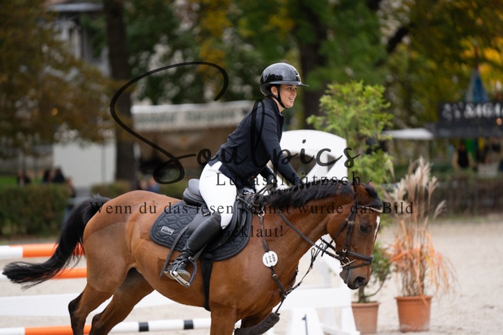 A7V09269 | Pferdefotograf