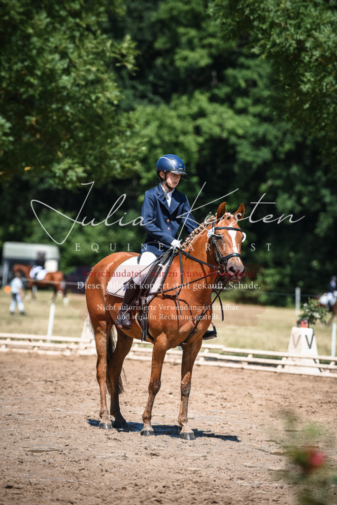 DSC_2904 | Pferde- und Turnierfotografie in Westsachsen. Pferdeportraits, Auftragszeichnungen und intuitive Kunst.
