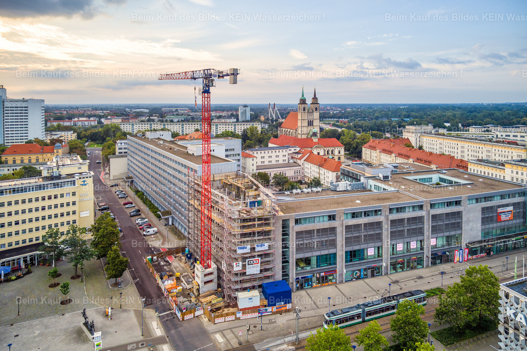 MWG-Baustelle_September_2023-0006 | Das neue MWG-Hochhaus während der Bauphase an der Ecke Julius-Bremer-Straße und Breiter Weg. Der Baukran steht noch über dem Gebäude, doch der Neubau hat inzwischen bereits die Höhe der angrenzenden Häuser erreicht und beginnt, sich selbstverständlich in das Stadtbild einzufügen.Besonders schön ist bei dieser Aufnahme der Blick in Richtung Elbe: Im Hintergrund zeichnen sich die Seile der Kaiser-Otto-Brücke ab. So treffen auf einem Bild gleich zwei Kapitel jüngerer Magdeburger Stadtentwicklung aufeinander – der entstehende Neubau und die markante Brücke über die Elbe.Noch ist das Hochhaus nicht fertig, aber die anfängliche Vorstellung, dass auf der kleinen Fläche einmal ein solch markantes Gebäude stehen würde, wird jetzt Realität. Die Aufnahme hält genau diesen Zwischenmoment fest: Der Neubau wächst sichtbar aus der Innenstadt heraus und wird Teil der vertrauten Magdeburger Silhouette. - Realisiert mit Pictrs.com