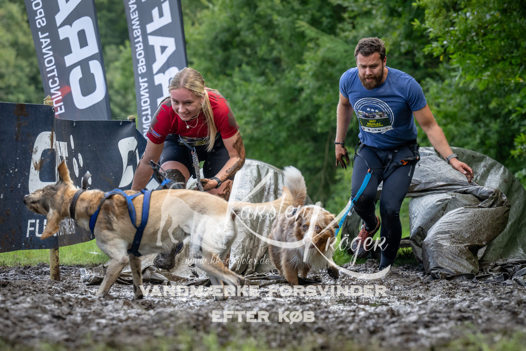 1144_ZZ94082 | kk-dogfotos