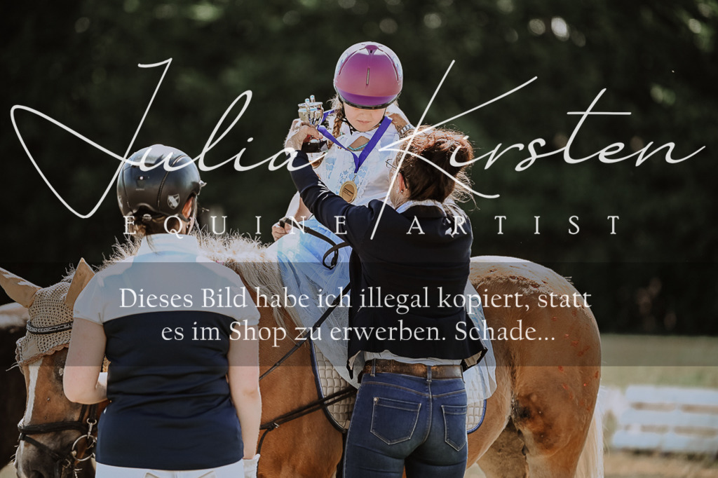 DSC_8946 | Pferde- und Turnierfotografie in Westsachsen. Pferdeportraits, Auftragszeichnungen und intuitive Kunst.