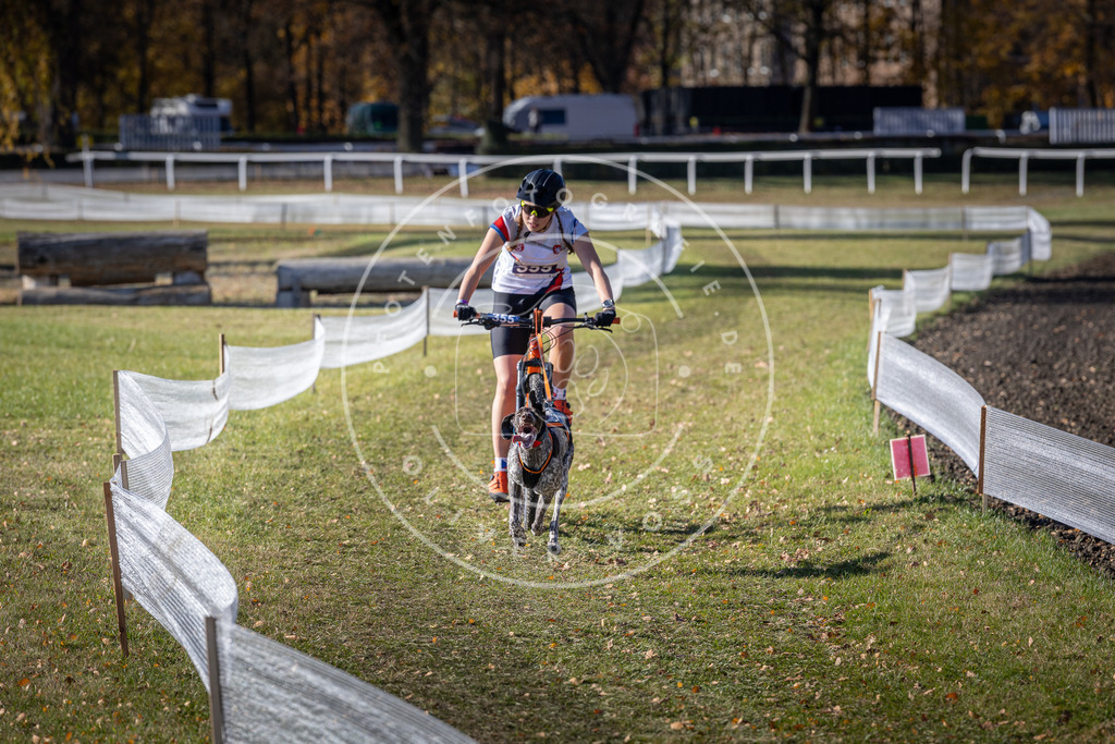 CaniXpix_DV3A7241 | Hundefotografie, Tierfotograf, Pfotenfotografie, Fotoshooting Hund, Hunde Portrait, Hundesport, Hundeportraits, Heideshooting, Hunde, Sportfotograf, Hundefotograf, Turnierhundsport, THS,  - Realisiert mit Pictrs.com