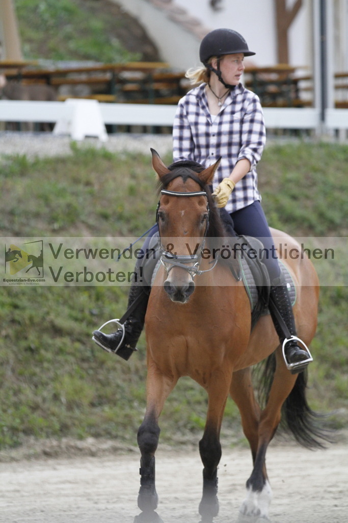 _MG_2756 | equestrian-live-com