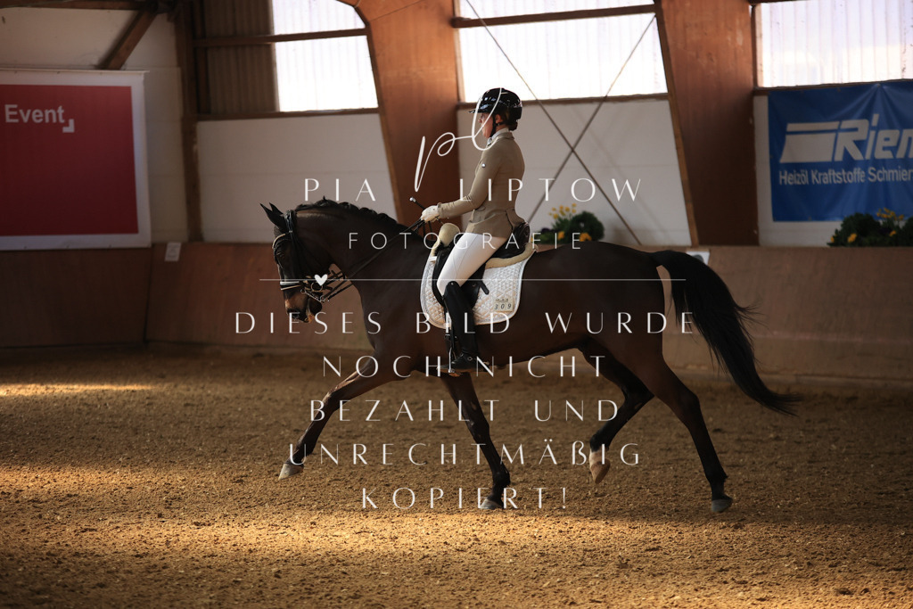 IMGT2622 | pl-fotografie