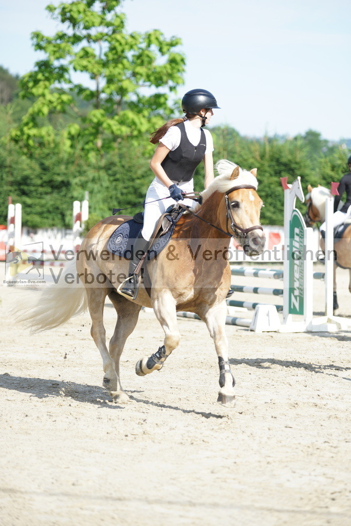 DSC09953 | equestrian-live-com