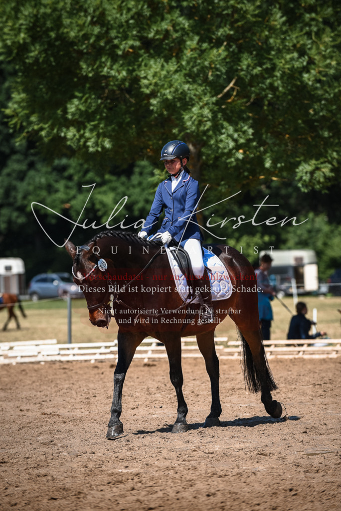 DSC_3382 | Pferde- und Turnierfotografie in Westsachsen. Pferdeportraits, Auftragszeichnungen und intuitive Kunst.