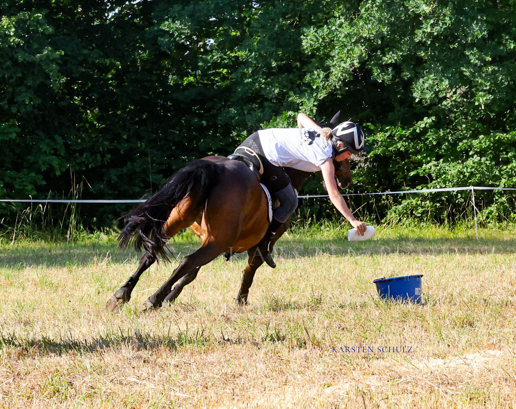 1B3A8544 | Reitsport Reiten