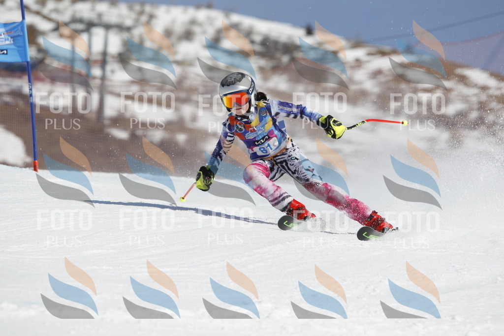 _U3G0012 | holidayphoto