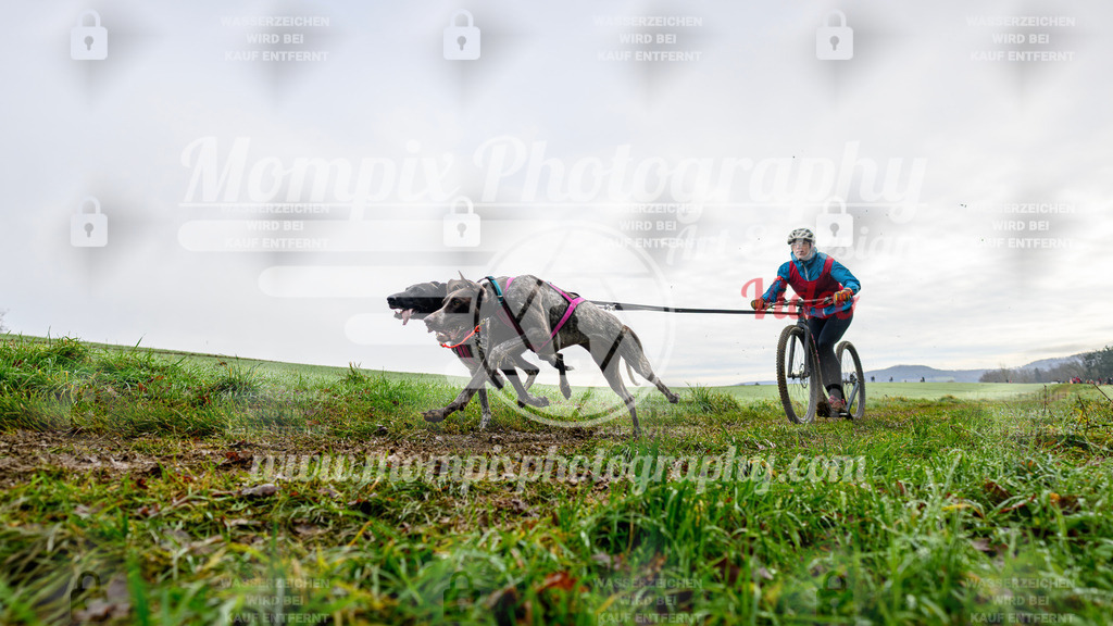 MompixPhotography_Staufertrail2024_SO_DS2-1 | PayLife