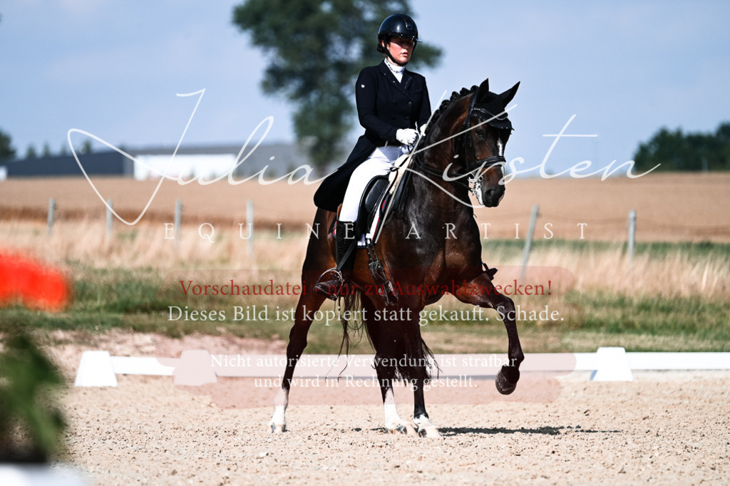 DSC_3369 | Pferde- und Turnierfotografie in Westsachsen. Pferdeportraits, Auftragszeichnungen und intuitive Kunst.