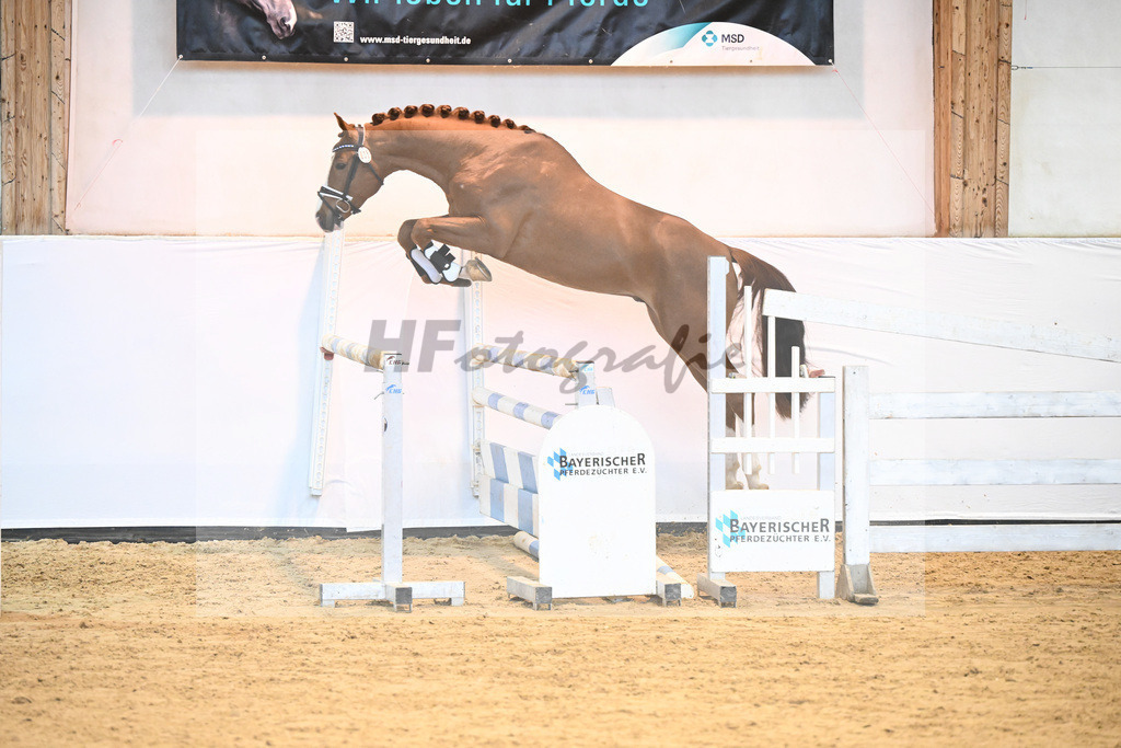 Kat-Nr. 25 v. Baggio_Heiterreiter GmbH_6240483 | hf-fotografie - Realisiert mit Pictrs.com