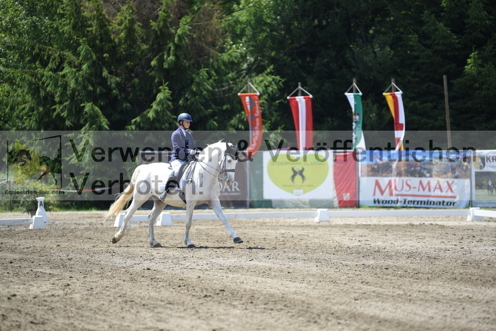 DSC_0295 | equestrian-live-com