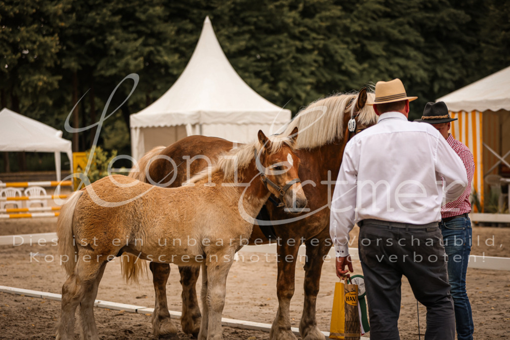 SaHF00124 | Leoni Ertmer Photography - Realisiert mit Pictrs.com