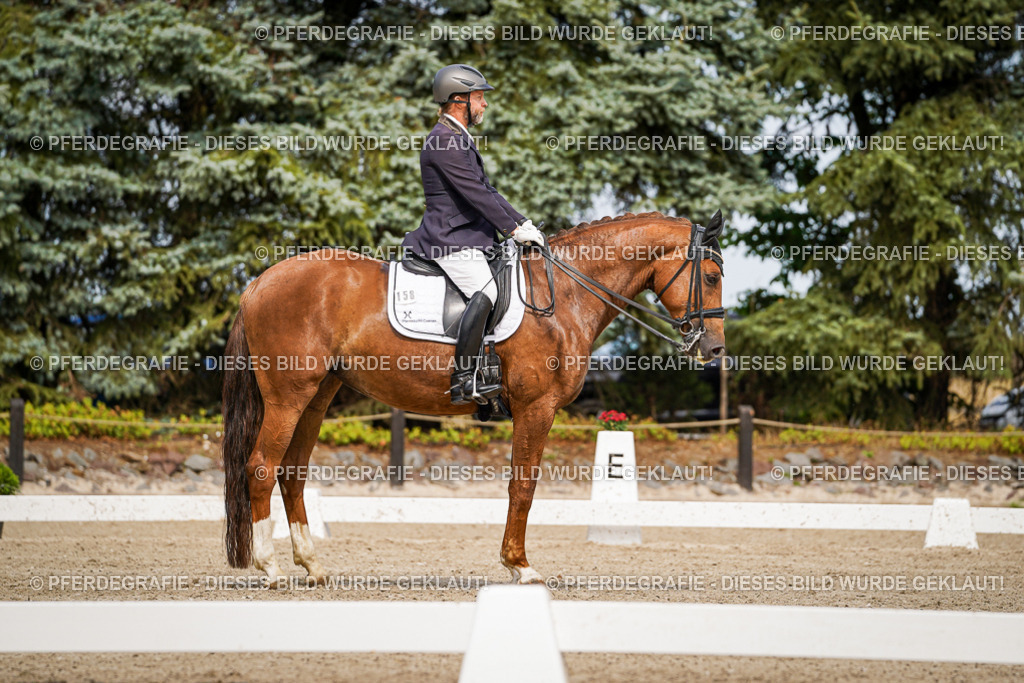 DSC05684 | Pferdegrafie