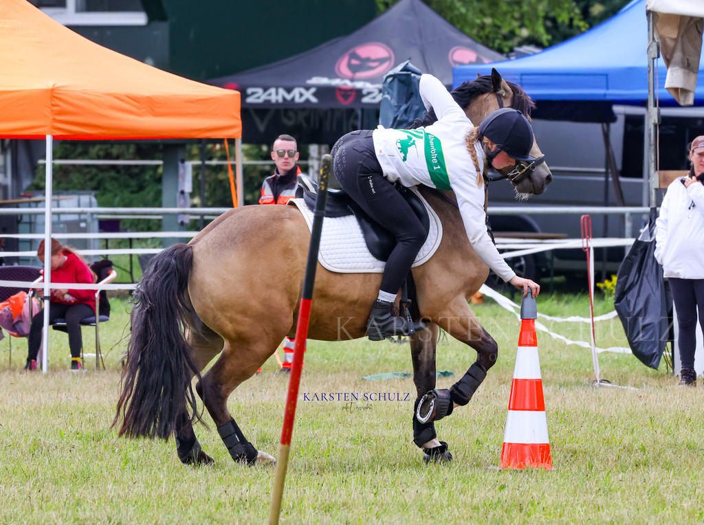 1B3A4541 | Reitsport Reiten