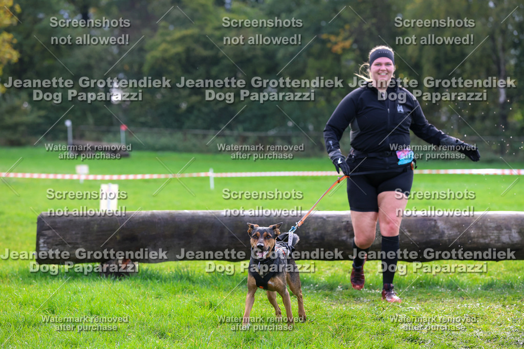 Dog Paparazzi -  SD1026-2215 | Dog Paparazzi Jeanette Grottendiek Fotografie & Videografie - Realisiert mit Pictrs.com