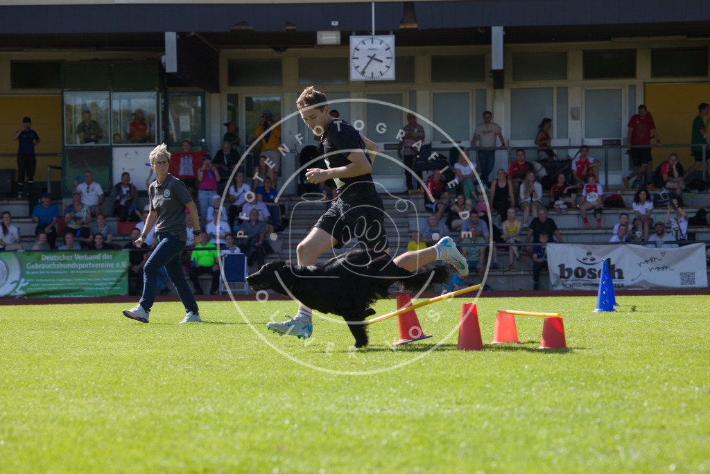 0L8A7996 | Hundefotografie, Tierfotograf, Pfotenfotografie, Fotoshooting Hund, Hunde Portrait, Hundesport, Hundeportraits, Heideshooting, Hunde, Sportfotograf, Hundefotograf, Turnierhundsport, THS,  - Realisiert mit Pictrs.com