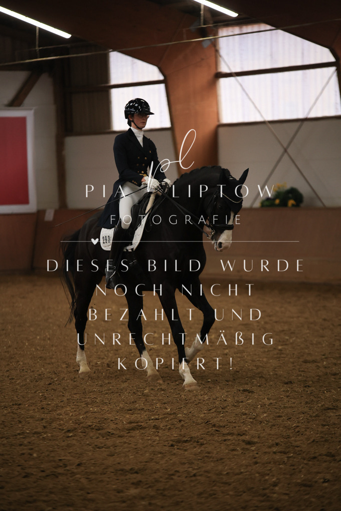 IMGT5915 | pl-fotografie