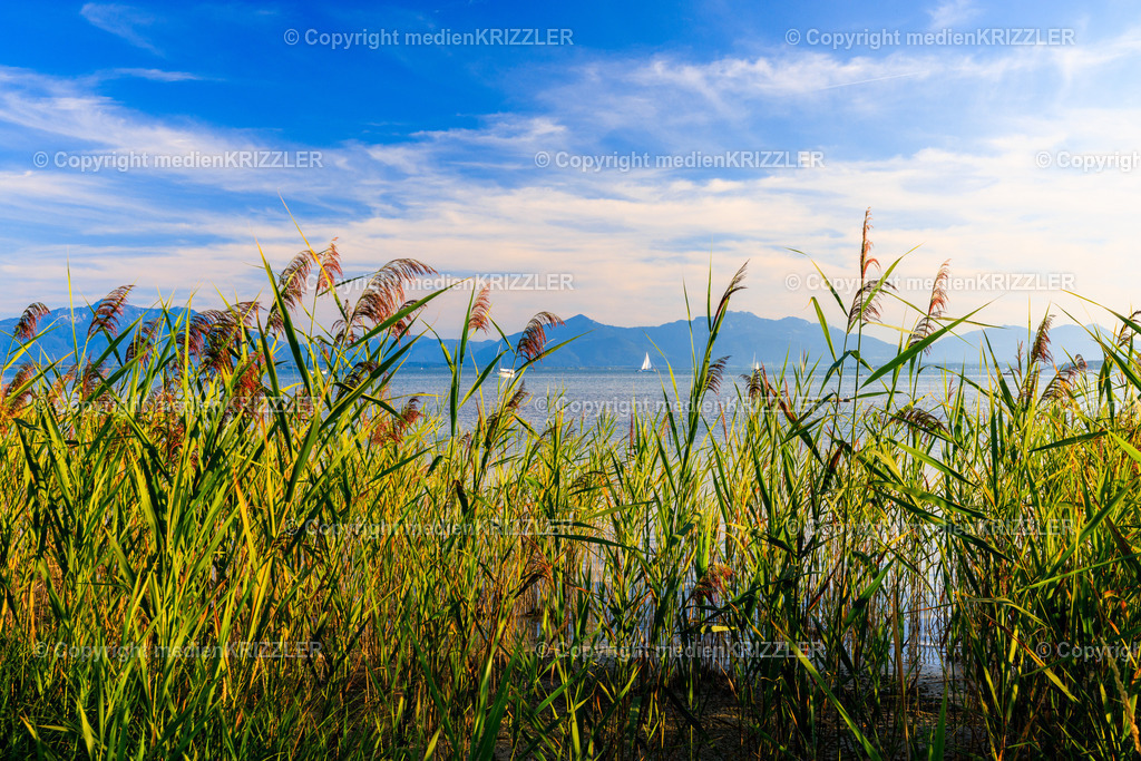 _J3A8421 | medienkrizzler - Realisiert mit Pictrs.com