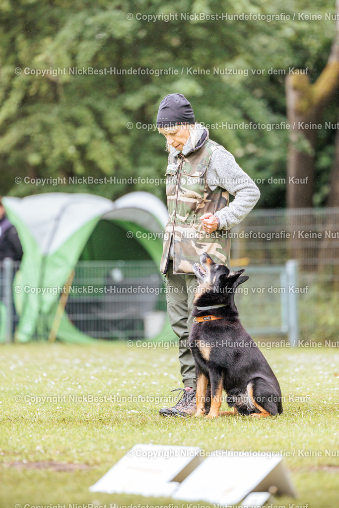 RO-Blumenthal-2026-Nickbest-Hundefotografie-4006 | Dein Hund! Dein Moment! Deine Erinnerungen! Hundefotografie in Bremen Blumenthal. Ich fange die besonderen Momente deines Vierbeiners ein – ob Indoor mit Blitzanlage oder in der freien Natur. Sicher dir dein Moment und dein Termin für eure Erinnerungen.
