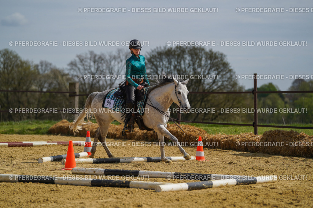 DSC04601 | Pferdegrafie