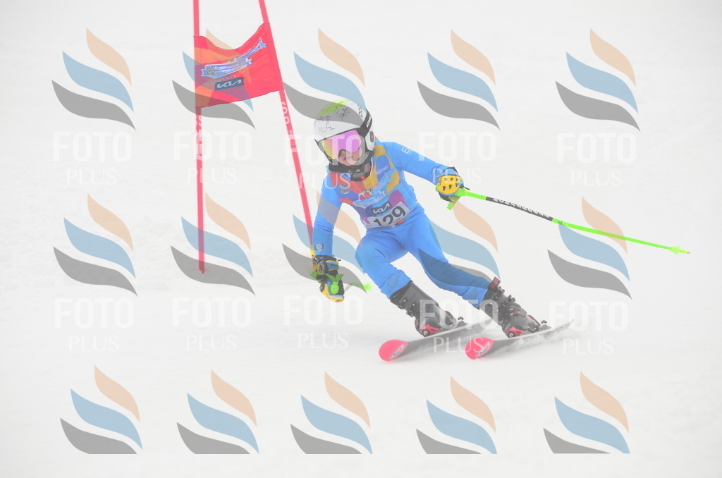 C1616 | holidayphoto