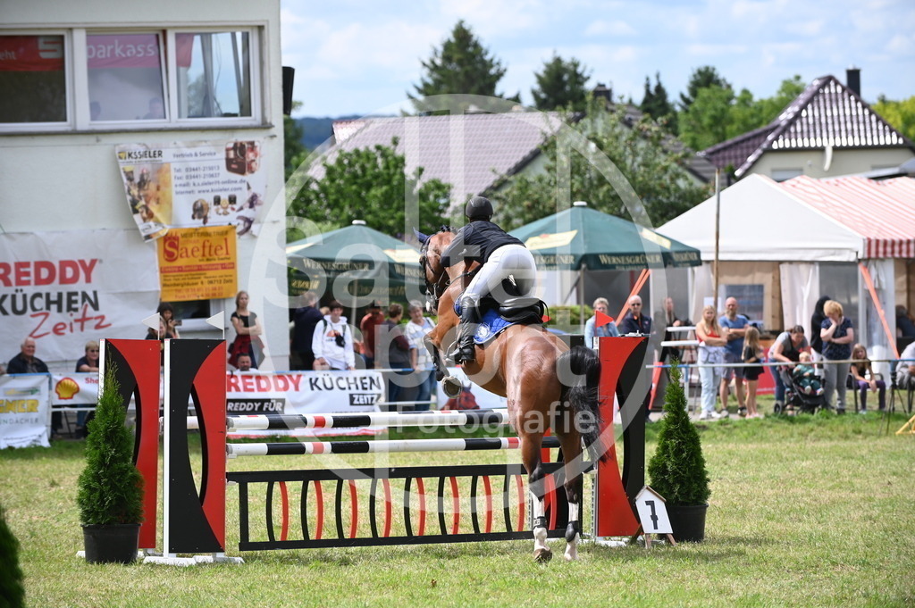 DSC_7025 | sattelsport - Realisiert mit Pictrs.com