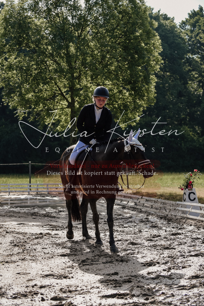 DSC_8258 | Pferde- und Turnierfotografie in Westsachsen. Pferdeportraits, Auftragszeichnungen und intuitive Kunst.
