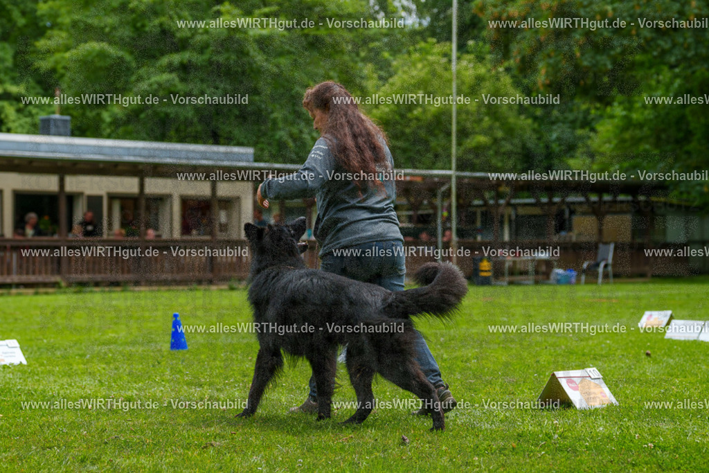 @allesWIRTHgut_Tierfotografie - www.allesWIRTHgut.de - 7R501708 | Professionelle Tierfotografie in Mönchengladbach von Daniel Wirth (allesWIRTHgut). Liebevolle & natürliche Bilder von Hunden & Katzen für unvergessliche Erinnerungen.