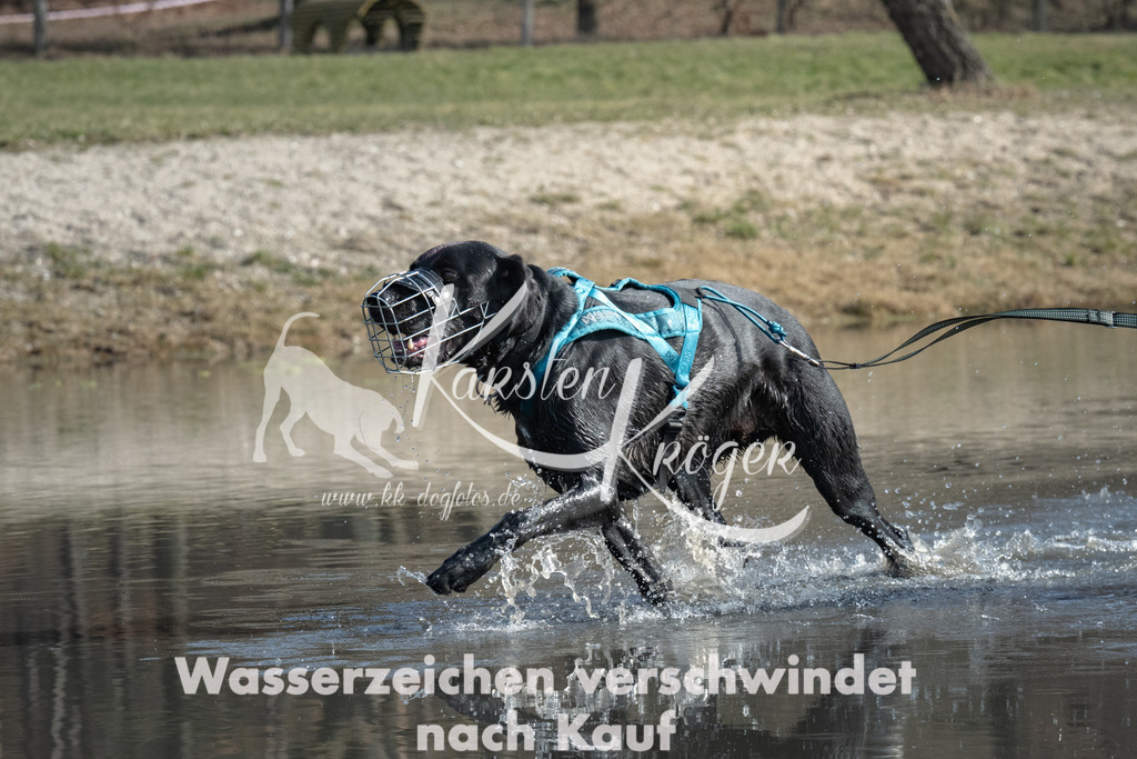 1210_ZZ98314 | kk-dogfotos