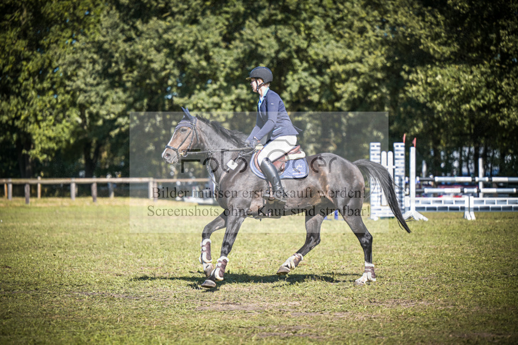 DOS_0560 | Entdecke hochwertige Reitturnierfotos von Foto Oger. Professionell, emotional und authentisch – jetzt Lieblingsmomente im Shop bestellen.Deutschlandweite Turnierfotografie. - Realisiert mit Pictrs.com