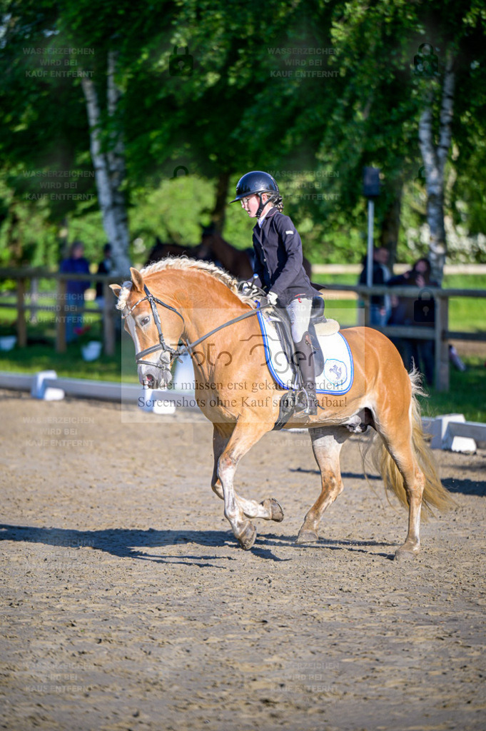 Reitturnier Lienen | Entdecke hochwertige Reitturnierfotos von Foto Oger. Professionell, emotional und authentisch – jetzt Lieblingsmomente im Shop bestellen. - Realisiert mit Pictrs.com