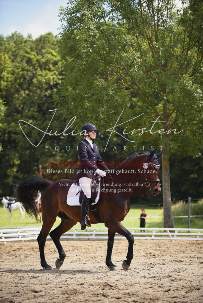 DSC_0934 | Pferde- und Turnierfotografie in Westsachsen. Pferdeportraits, Auftragszeichnungen und intuitive Kunst.