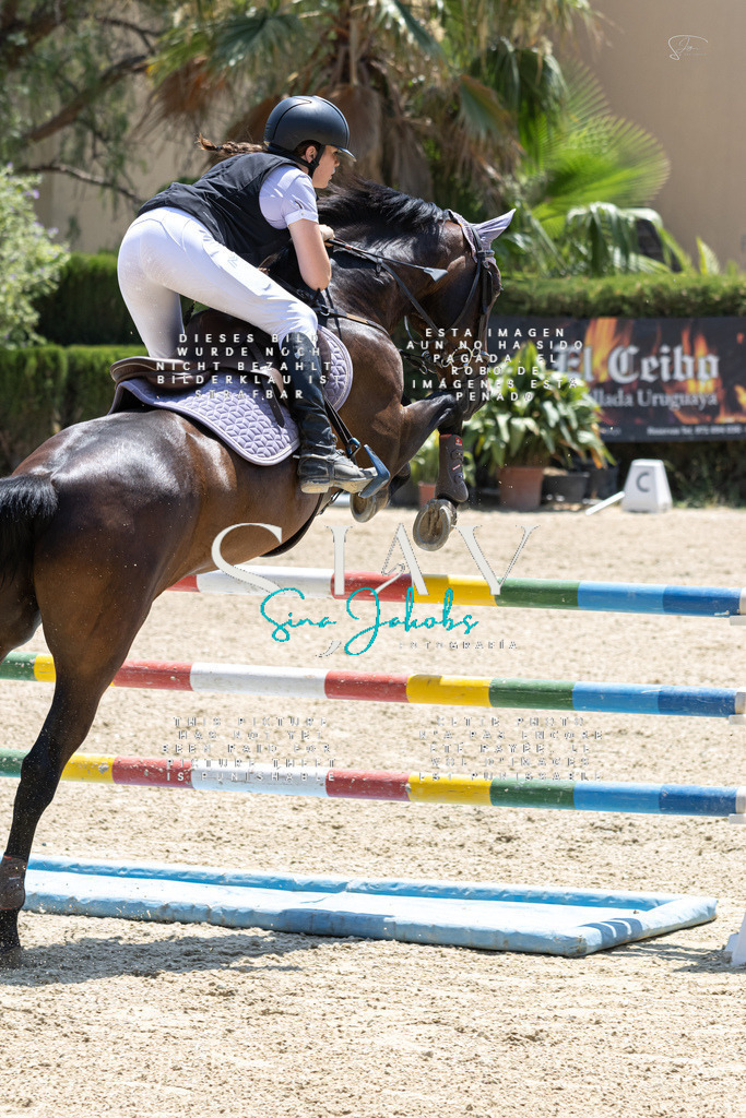 IMG_7573 | s-jay-photography - Realisiert mit Pictrs.com