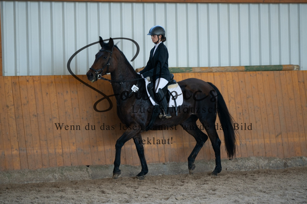A7V02053 | Turnier/Reitfotograf