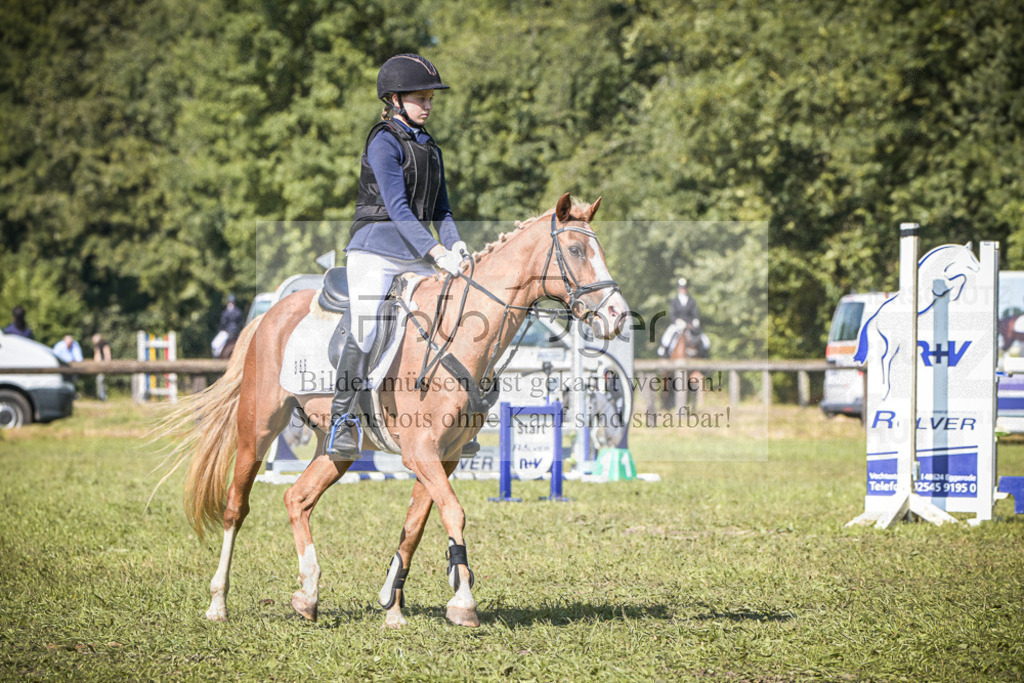 DOS_0268 | Entdecke hochwertige Reitturnierfotos von Foto Oger. Professionell, emotional und authentisch – jetzt Lieblingsmomente im Shop bestellen.Deutschlandweite Turnierfotografie. - Realisiert mit Pictrs.com