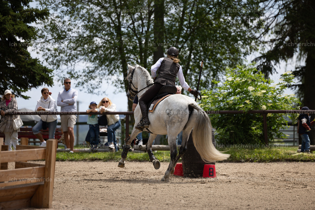 Masterclass_stoibphotography_C2_C8039.CR3 | working equitationturnier fotograf videograf stoibphotography marixx film working equitation deutschland reitsport turnierfotografie eventfotografie equestrian events