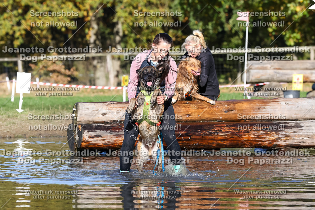 Dog Paparazzi - Strongdog 10-25-8940 | Dog Paparazzi Jeanette Grottendiek Fotografie & Videografie - Realisiert mit Pictrs.com