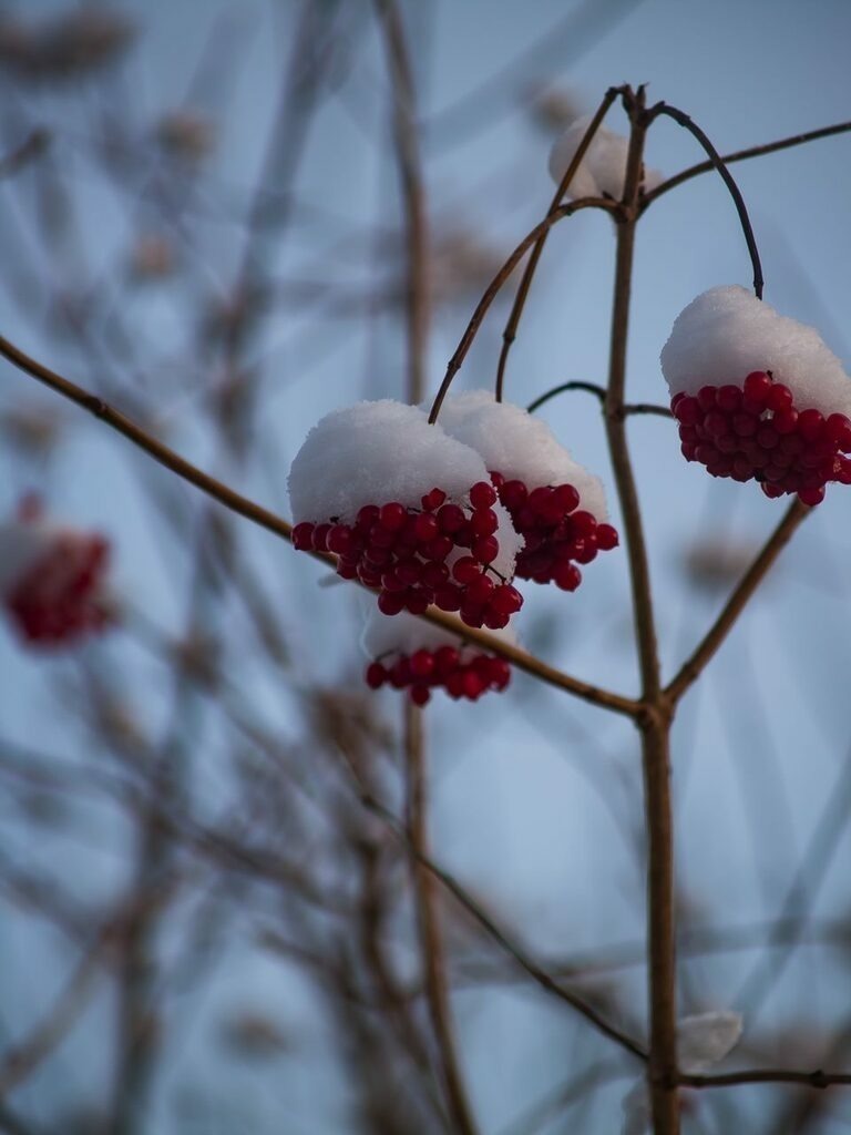 PSX_20221219_000507 | mtkfoto_ - Realisiert mit Pictrs.com