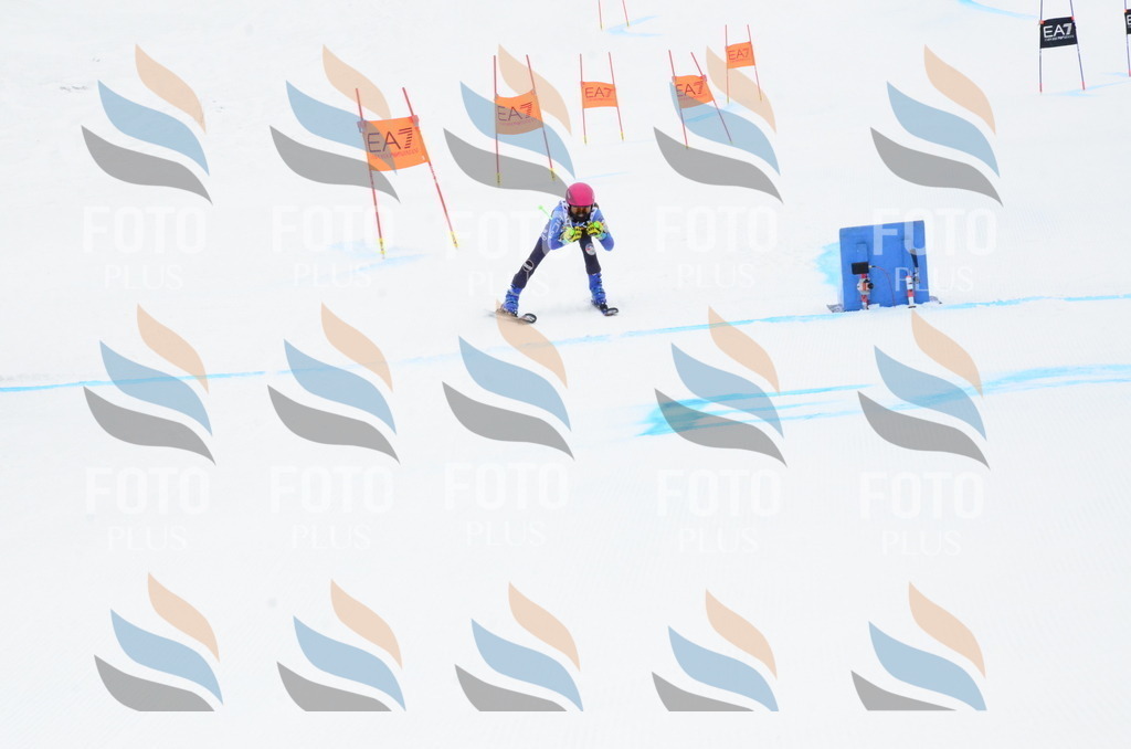 _ELE3510 | holidayphoto