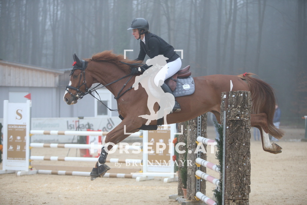 PP012410 | Willkommen bei Brunnmayr - Design & Fotografie – Ihrem Spezialisten für Reitturniere und Pferdeveranstaltungen in Oberösterreich, Salzburg und Bayern! Seit über 17 Jahren sind wir leidenschaftlich dabei.