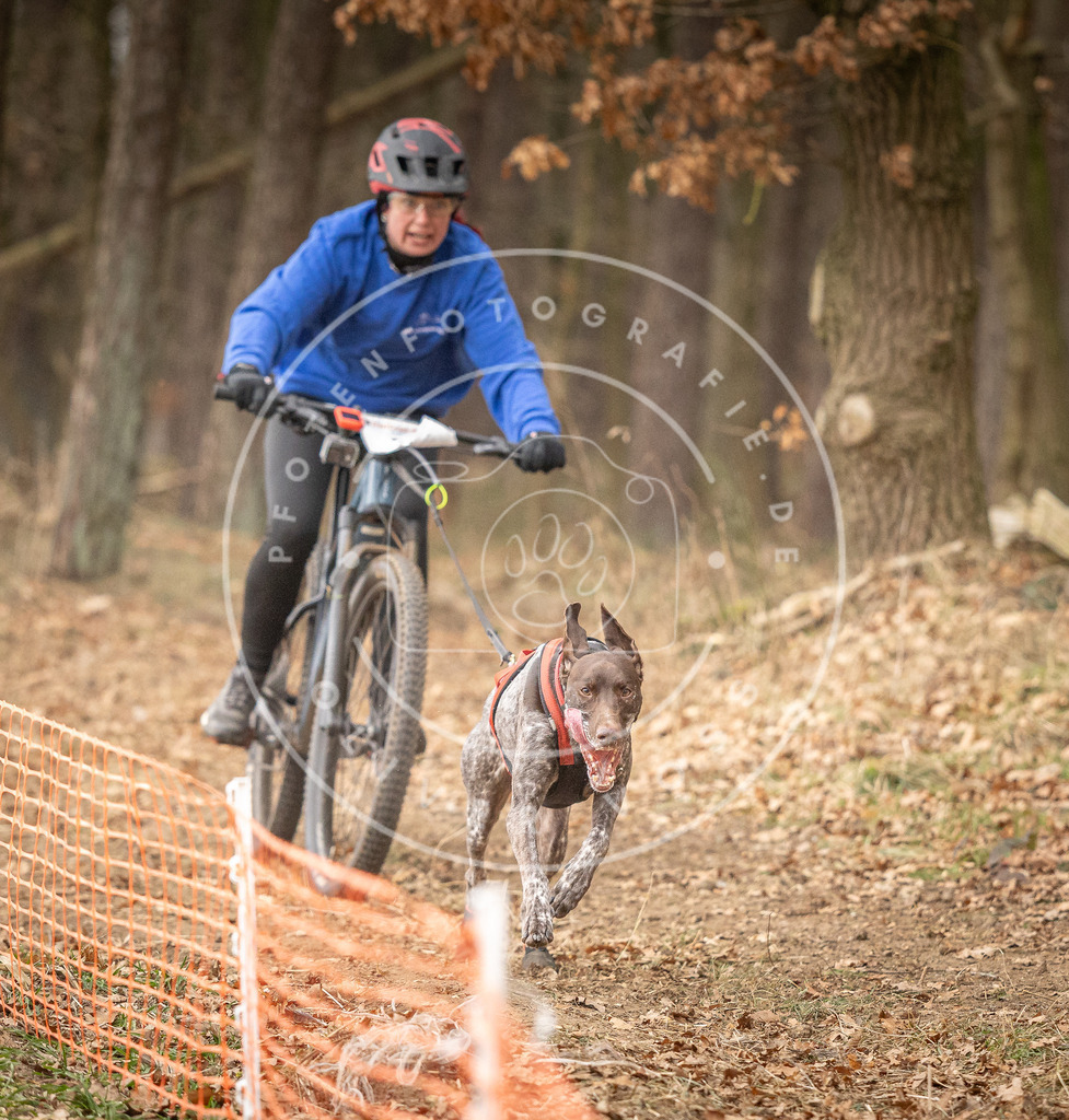Pfotenfotografie_DV3A3299 | Hundefotografie, Tierfotograf, Pfotenfotografie, Fotoshooting Hund, Hunde Portrait, Hundesport, Hundeportraits, Heideshooting, Hunde, Sportfotograf, Hundefotograf, Turnierhundsport, THS,  - Realisiert mit Pictrs.com