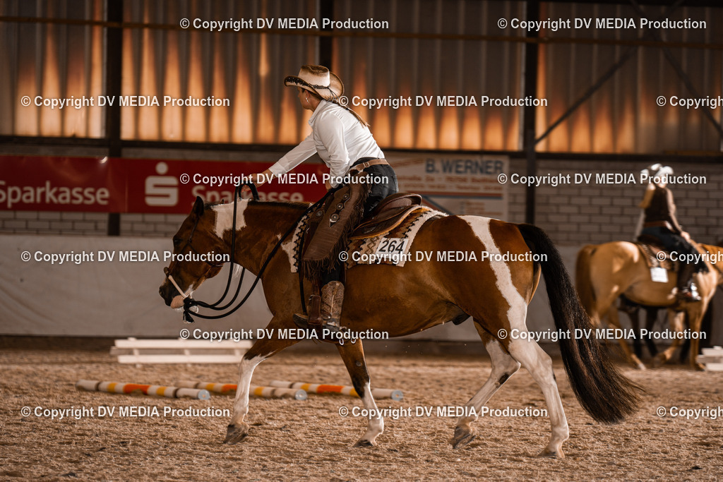 ZH300495 | dv-media-shop - Realisiert mit Pictrs.com