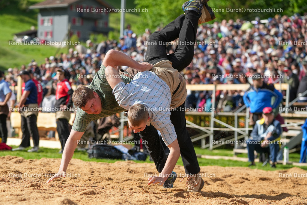 RB-08845 | René Burch leidenschaftlicher Fotograf aus Kerns in Obwalden.  Hier finden sie Sport, Landschaft und Natur Fotografie.
 - Realisiert mit Pictrs.com